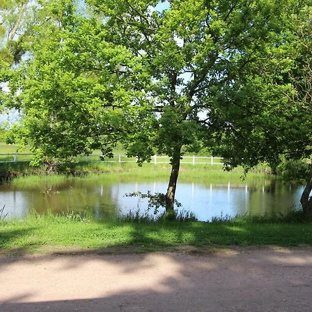 Le Domaine Du Mijarnier Bed & Breakfast Montbeugny ภายนอก รูปภาพ
