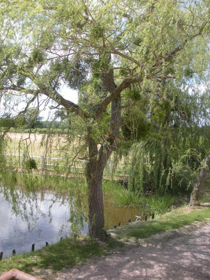 Le Domaine Du Mijarnier Bed & Breakfast Montbeugny ภายนอก รูปภาพ