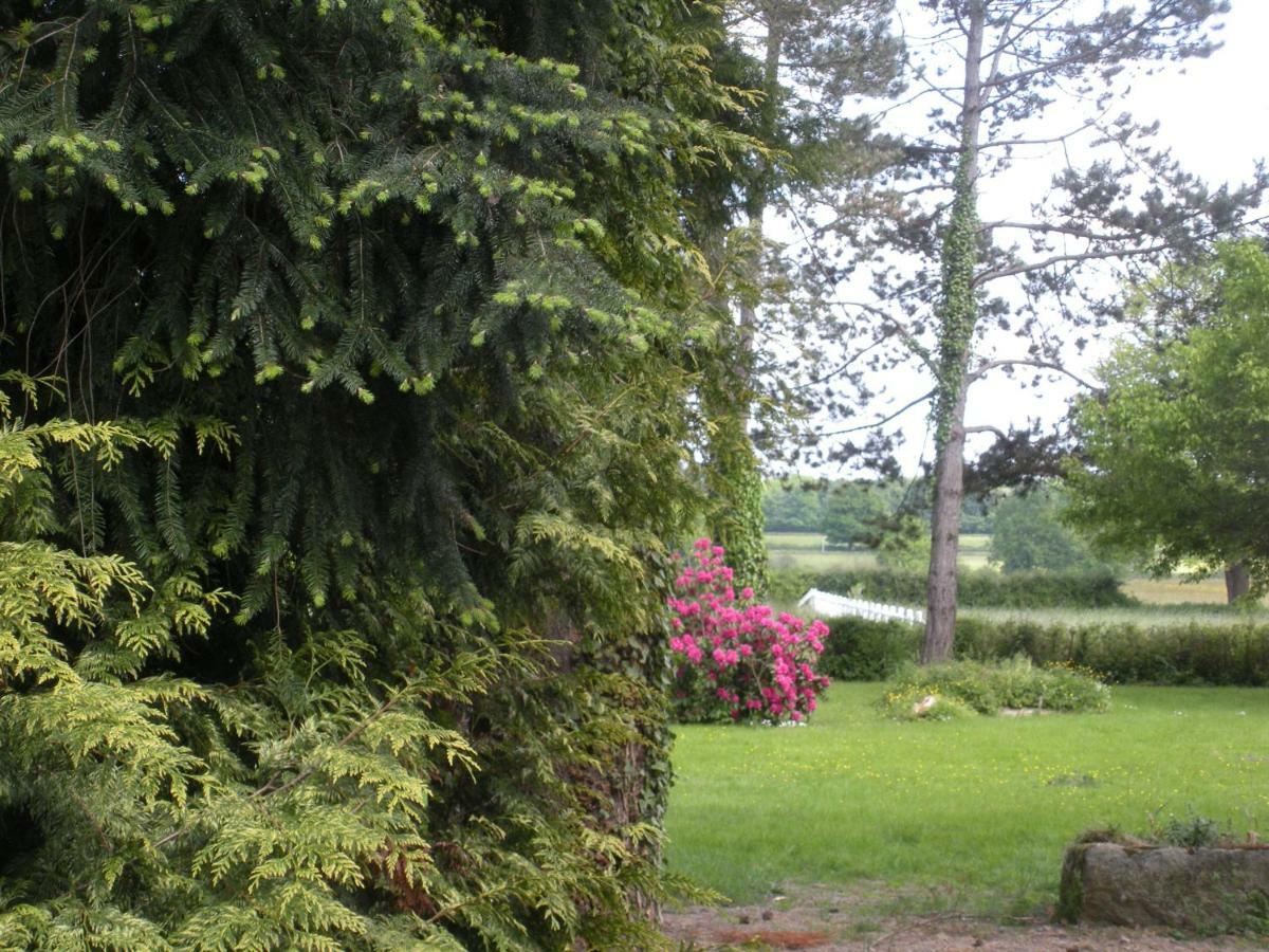 Le Domaine Du Mijarnier Bed & Breakfast Montbeugny ภายนอก รูปภาพ