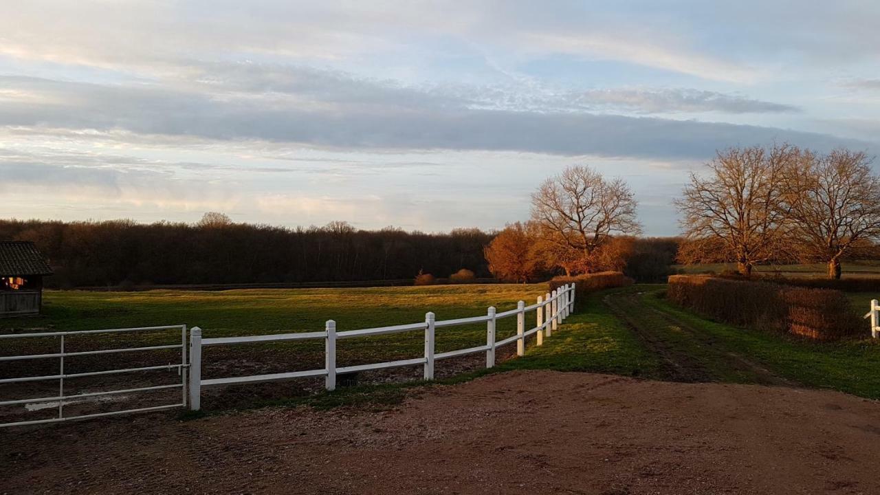 Le Domaine Du Mijarnier Bed & Breakfast Montbeugny ภายนอก รูปภาพ