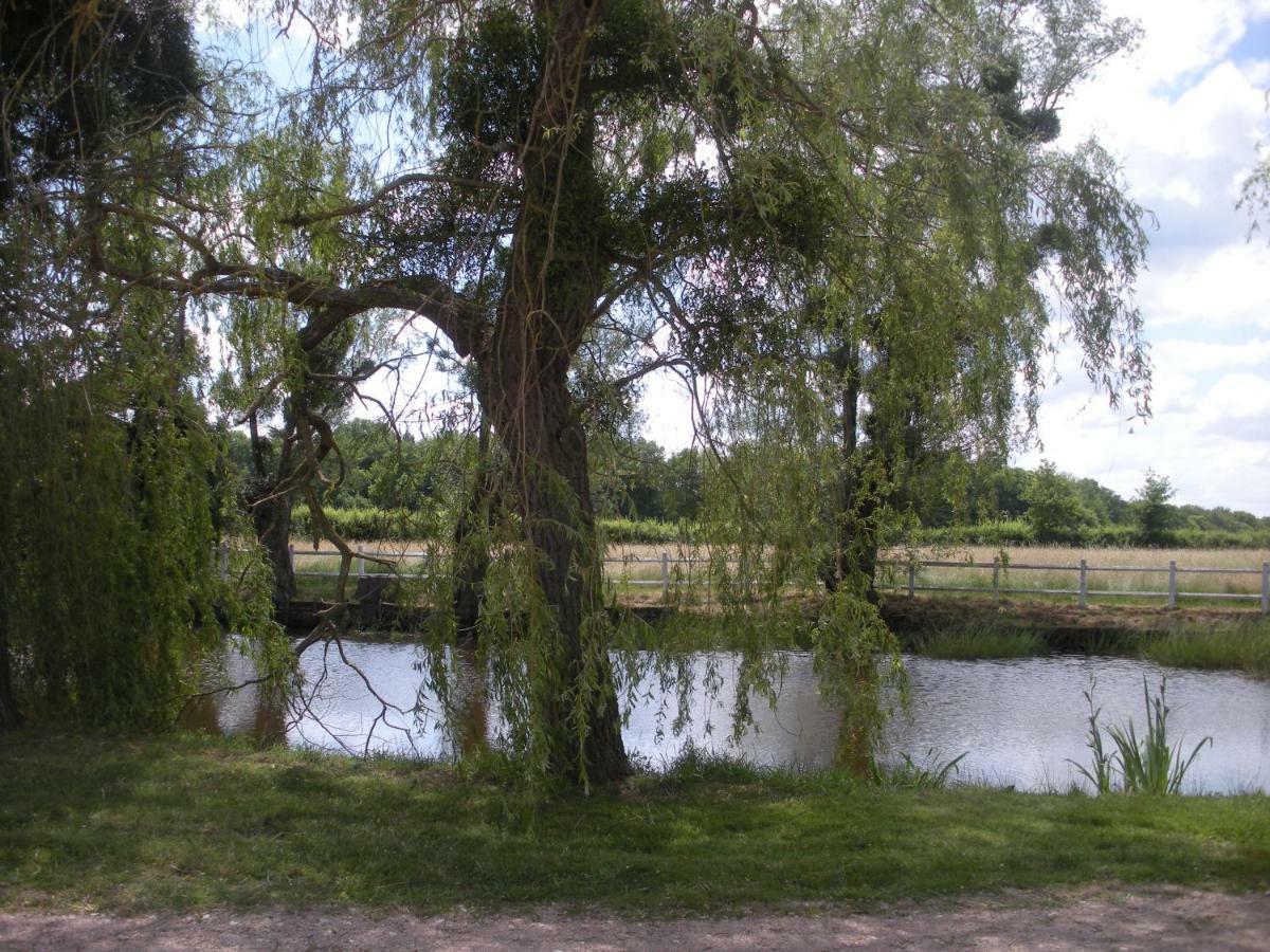 Le Domaine Du Mijarnier Bed & Breakfast Montbeugny ภายนอก รูปภาพ
