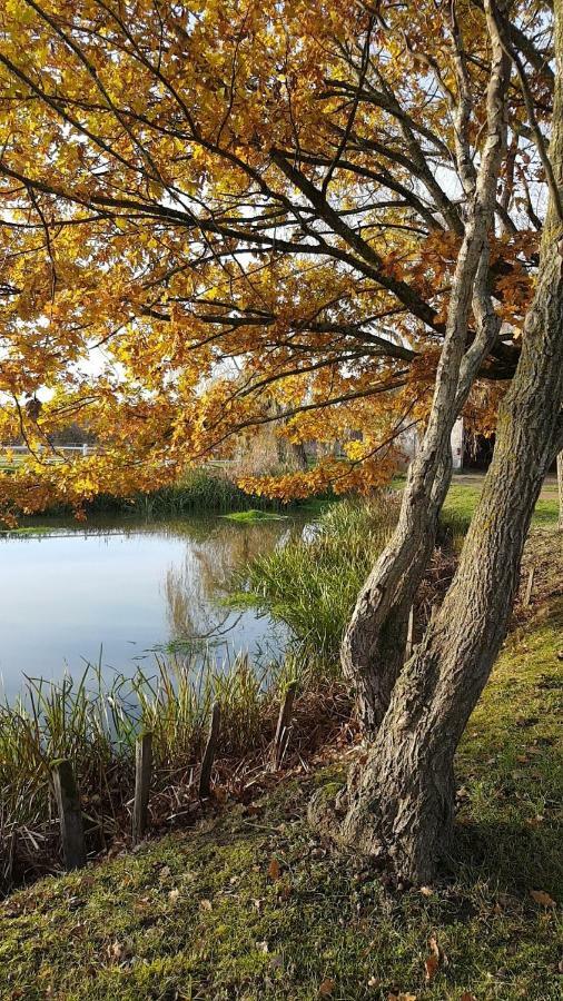 Le Domaine Du Mijarnier Bed & Breakfast Montbeugny ภายนอก รูปภาพ