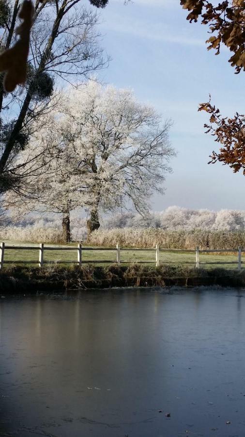 Le Domaine Du Mijarnier Bed & Breakfast Montbeugny ภายนอก รูปภาพ
